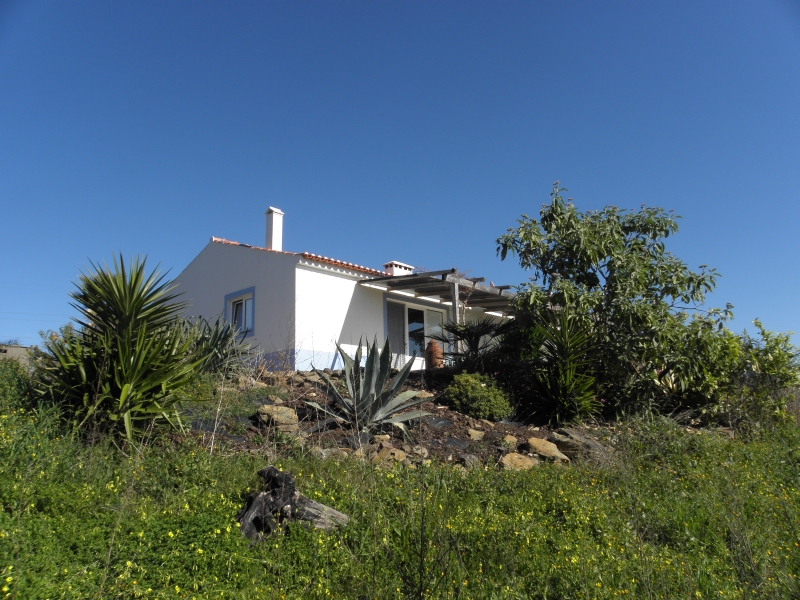 Montehorizonte